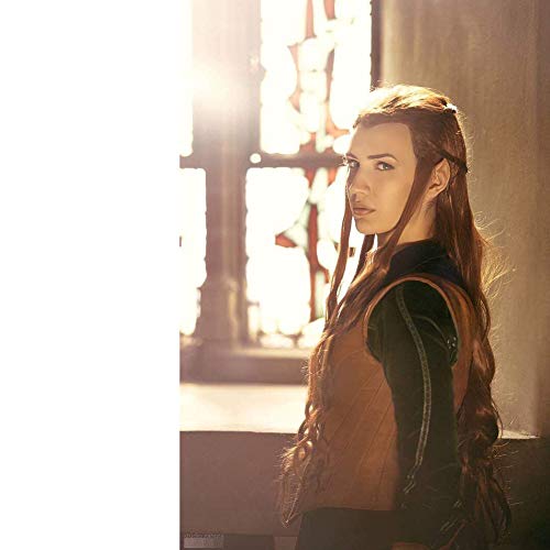 BERON 40'' Long Wavy Wig Cosplay Costume Party Halloween Wig with Braid Wig Cap Included Updated Adjustable Cap Size (Brown)