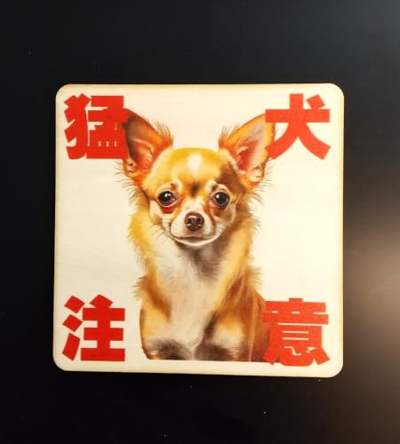ؐ TCv[g  z hA v[g 9cm×9cm Ҍ ` ܂ яo J hƃObY hƑ΍ x ē Ăт CeA  fUC }V   DOG  Ck bZ[W V