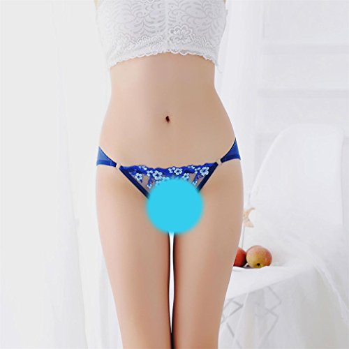 DYNWAVE Calcinhas Bordadas Femininas Respirável de Renda Transparente Cuecas Cuecas