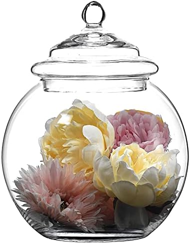 SOLAVIA Glass Bread Bin Bonbon Jar Flower Vase H26cm D12cm Storage Container Home Décor Gift Housewarming