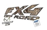 Decal Mods FX4 Off Road Realtree AP Decals Stickers for Ford F150 (1997-2008) - AP