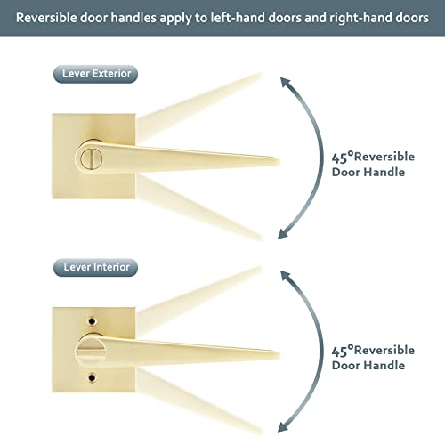 Ehomeware 2 Pack Gold Door Knobs, Bedroom Bathroom Interior Door Handles Satin Brass Finish, Privacy Door Lever Without Keys #TOP4