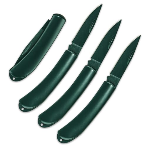 LLHQAMT Fruit, Knife Stainless Steel Foldable Set, Small and Easy to Carry, Suitable for Most Types of Vegetables and Fruits, 3 Pieces(Black)