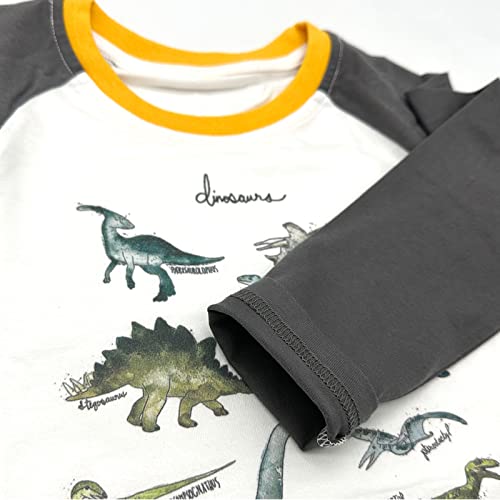 Image of Julylee Girls Cotton Pink Sweatshirts Hoodie Dinosaur Printed Tops
