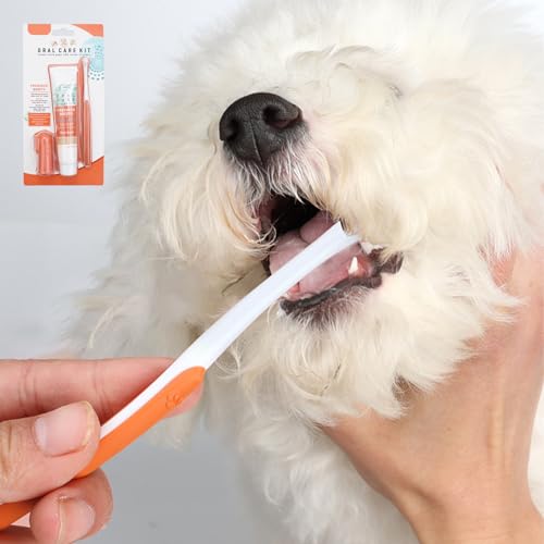 3 Pièces Brosse Dent Chien et Dentifrice,Kit de Soins Dentaires – vue 5