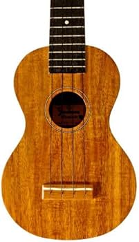 Amazon.co.jp: Famous ウクレレ FS5 : 楽器・音響機器 Amazon.co.jp: Famous ウクレレ FS5 : 楽器・音響機器