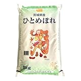 出荷当日精米 2025年産 