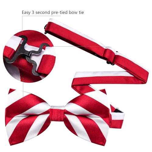 Image of Barry.Wang Paisley Striped Bow Tie for Men Silk Pre-Tied Bowtie Set