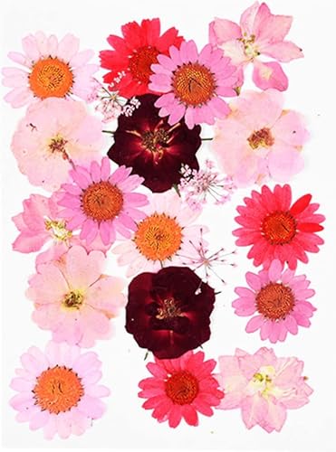 Flores secas pequeñas para decoración y manualidades miniatura 1