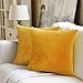 Produktbild WEYON 2er Set Samt Kissenbezug Dekorative Dekokissen Kissenhülle mit Strapazierfähigem Verstecktem Reißverschluss für Sofa Schlafzimmer Auto 50X50cm Zitronengelb