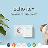 Amazon Echo Flex