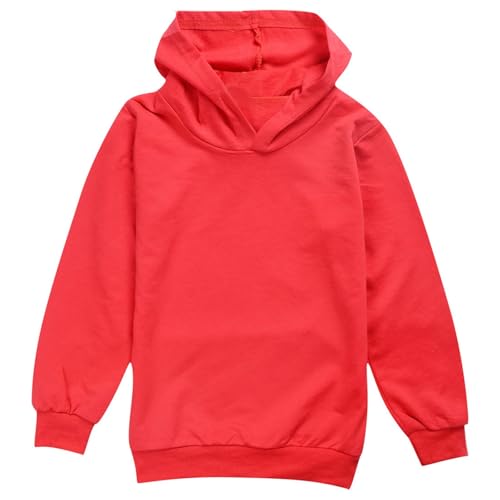 Sweatshirts For Teen Girls Long Sleeve Trendy Cute Hoodies Oversized Hooded Sweatshirts 2025 Fall Pullover Tops Pocket4