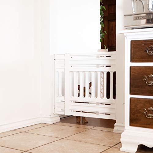 image for IRIS USA 24