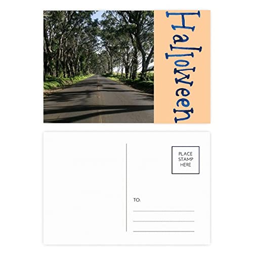 Cartes postales de remerciement Halloween paysage forestier x20