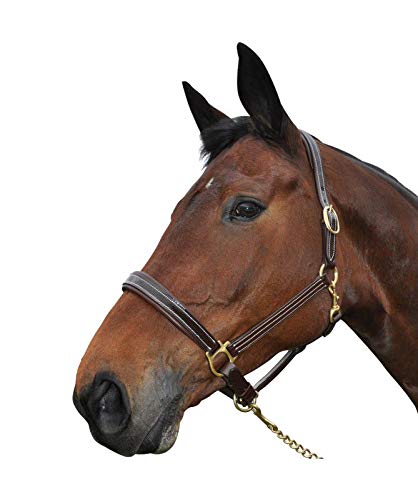 Chetak Cabezada de Cuero para Caballos Bright