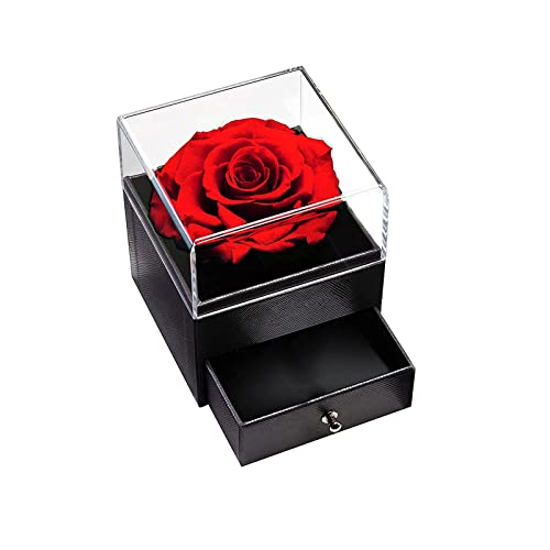 Mincheda Geschenk für Weihnachten, Ewige Rose mit Halskette, konservierter Blumenschmuck Originelles Geschenk für Sie, Frauen, Freundin für Jahrestag, Geburtstag, Valentinstag Cover