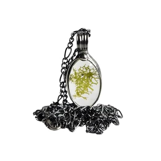 Moss Necklace, Handmade Glass Terrarium Jewelry, Natural Lichen Charm Pendant, Green Moss Jewelry, Unique Jewelry Birthday Gift for Mom, Sister, Daughter, BFF, Artisan Crafted by Bayou Glass Arts