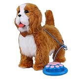 Cadeau parfait pour les , les filles, les adultes ou toute personne qui aime les animaux de compagnie