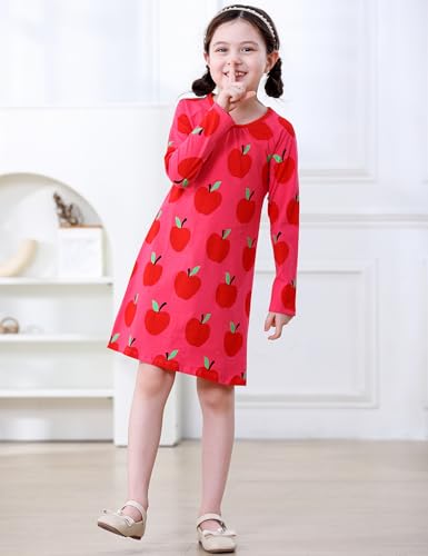 Image of Hongshilian Toddler Girls Longsleeve Dress Cotton Jersey Casual Dresses Cartoon Applique