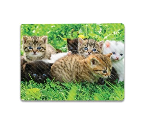 Image of MightySkins Carbon Fiber Skin Compatible With Microsoft Surface Laptop Go 3 (2023) Full Wrap Kit - Field Of Kittens | Protective, Durable Textured Carbon Fiber Finish | Easy To Apply | Made in the USA