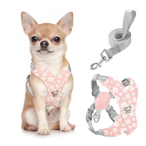 Pawaboo Hundegeschirr mit Hundeleine Set, X-Rahmen Verstellbares Anti Zug Anti-Erstickung Hund Brustgeschirr für Kleine, Mittelgroße Hunde & Welpen, Hundeweste mit Leine, S, Rosa Gänseblume