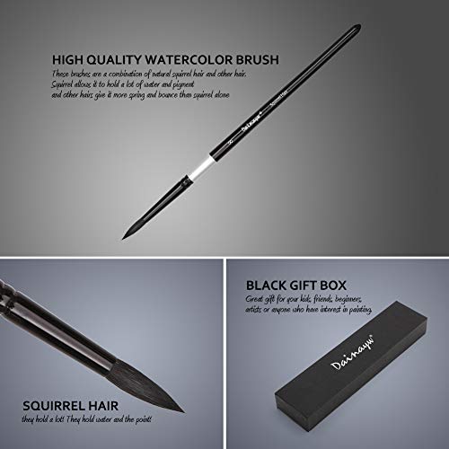 Dainayw DN-25RQG Round Watercolor Paint Brushes Squirrel Hair Professional Artist Painting Mop thumb #3