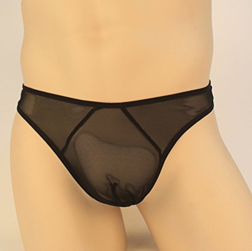 Men's 4 Styles Pack Mesh Thongs Lingerie Breathable Briefs Sexy Underwear See-Through Hot Underpants for Boyfriend Husband2