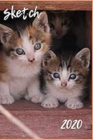 Sketch : Compact (9x6) Sketch Book with 100 Blank Pages and a Glossy Kittens Cover 1670092321 Book Cover