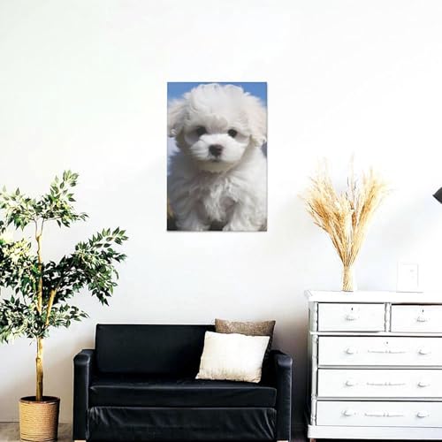 Tableau Bichon Frisé en impression haute définition - 3