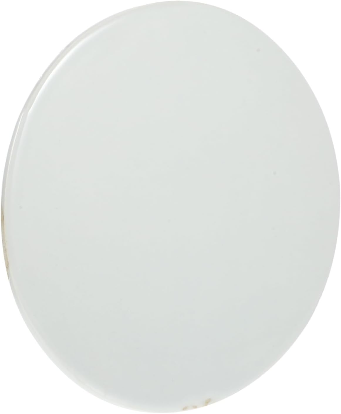 Artibetter DIY Round White Ceramic Painting Plate for Art Craft Projects and Home Decor Hand-Painted Graffiti Ceramic Chip for Boys and Girls and Adults