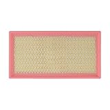 Engine Air Filter CA7421 Compatible for Chevy Astro 1992-2005, Blazer 1995-2005, Camaro 1993-1997,