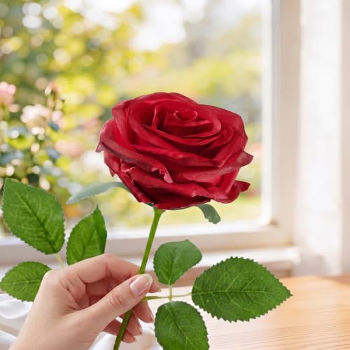 Nosqew 50 Pcs Artificial Roses +10 Eucalyptus + 1 Sachet (Rose Red) — view 6