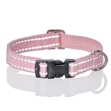 Pet Passion Adjustable Reflective Dog Pet Collar for Small, Medium and Large Dogs, Pink, X-Small