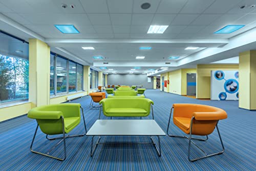 Educational Insights The Original Fluorescent Light Filters: Tranquil Blue 4-Pack, Fluorescent Light Covers, Easy Install For Classrooms, Office, Hospitals & Home, Teacher Classroom Decor #TOP5