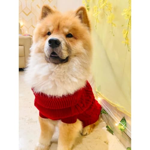 Image of Lulala Dog Sweater for Winter | Warm Knitted Woolen Sweater for Small & Medium Dogs | Cozy Cable Knit Pullover for Pets | Soft & Stretchable Winter Dog Clothes