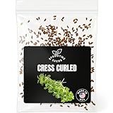 Fall & Winter Cress Curled Seeds for Indoor & Outdoor Planting – 500+ Non-GMO Heirloom Peppery Microgreens, High Germination (Lepidium sativum)