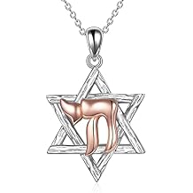 YFN Star of David Necklace Sterling Silver Jewish Christian Jewelry Gifts with 18" Chain