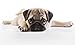 Pug Puppy Edible Icing Image for 1/4 sheet cake