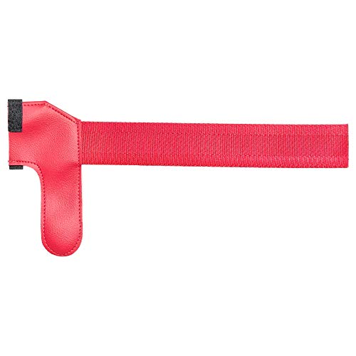Cubierta de tubo Pitot Cirrus SR22 con streamer rojo miniatura 2