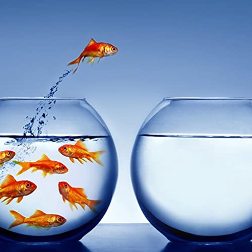 『EP 11. How to think outside the box?』のカバーアート