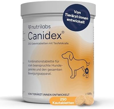 NutriLabs Canidex Gelenktabletten für Hunde 250 Stk. - mit MSM, Hyaluronsäure, Glucosamin, uvm. - Gesundheitsprodukte für Hunde - Nahrungsergänzungsmittel Hund - Teufelskralle-Hund