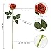 Veryhome 10pcs Artificial Rose Flower Bouquet Faux Rose with Stems for Wedding Arrangement, Bridal Bouquet, Centerpiece, Fake Faux Silk Flowers (Burnt Orange)