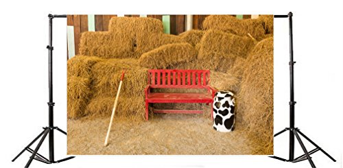 YongFoto 3x2m Sfondo Fotografico Vecchio Fienile