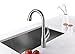 Purelux Calla Kitchen Sink Faucet with Pull Down Sprayer High Arc, Satin Stainless Finish Pull Out Sprayer