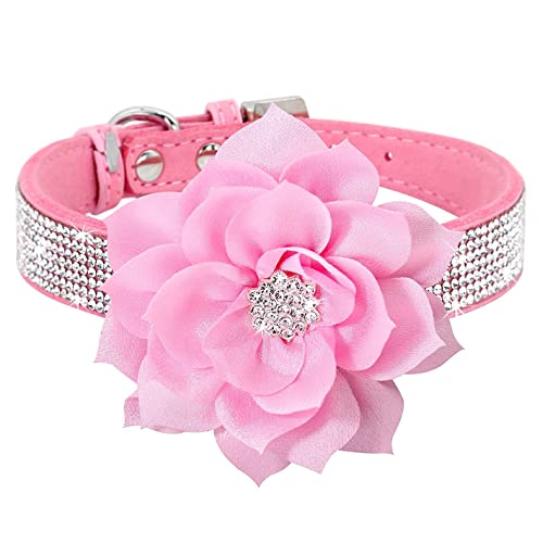 Cute Dog Collar with Bling Rhinestone Fancy Crystal Diamond Glitter Pretty Jewel Soft Cat Collars for Small Medium Large Breed Dogs Girl Female Pet Puppy Kitten Terrier m Pink2  Cucciolini Doodles Cute dog collar with bling rhinestone fancy crystal diamond glitter pretty jewel soft cat collars for small medium large breed dogs girl female pet puppy kitten terrier m pink2   cucciolini doodles