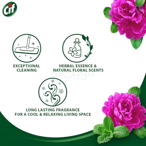 Image of CIF FLOOR CLEANER SUMMER FLOWER AND MINT 1kg