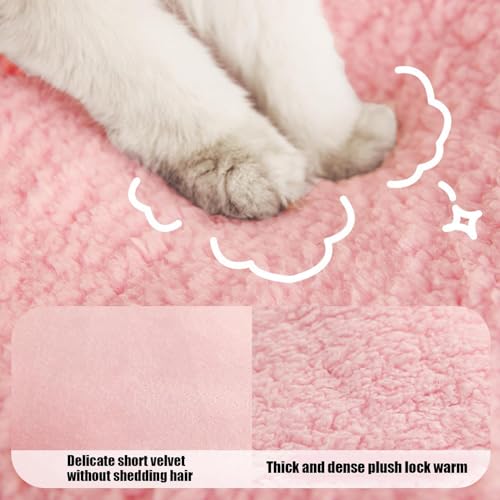 Nid douillet chat chauffant et lit chaud chiot convalescent - 5