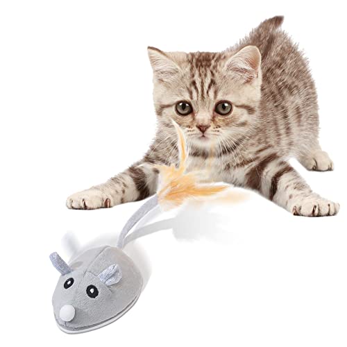 topolino elettrico per gatti