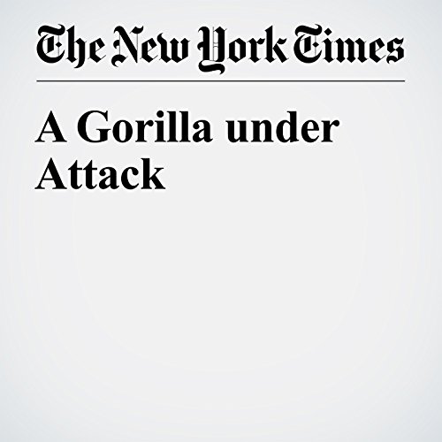 A Gorilla under Attack cover art