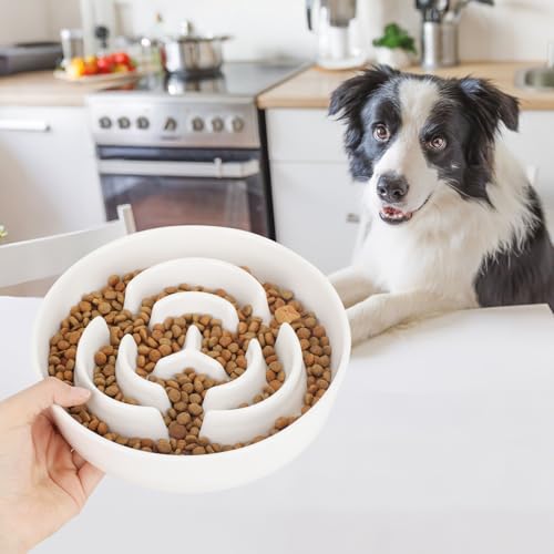 PETTOM Antischlingnapf Hunde Keramik, Anti Schling Napf Hund Ø 21cm, Schlingnapf Hunde Groß Nassfutter, Slow Feeder Hundenapf für Große und Kleine Hund